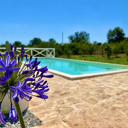 Willa Trulli Paradise Alberobello